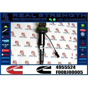 4964170 Diesel QSK19 Engine Common Rail Fuel Injector 4955524 2867149 4955527