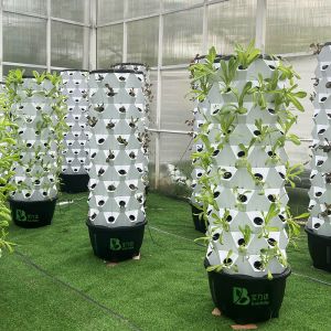 Automatic Hydroponic Growing Kit With Visible Line And Removable Basket