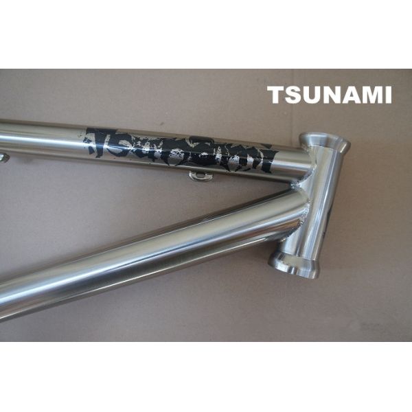 26er Chromolly Steel Dirtjump Frame Slope Style CR520 Titanium Chromed 12.5" Disc Brake