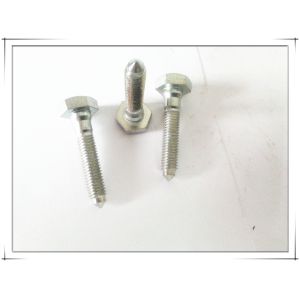 Special Hex Step Bolt with Steel Sharp Point nickel coating