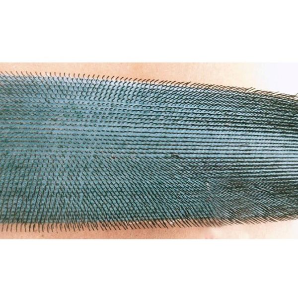 Quality Textile Winding Take Up Roller Weaving Loom Machine Needle Roller for sale