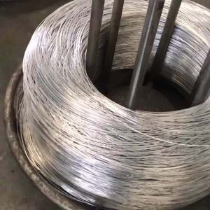 100kgs Galvanized Steel Wire Rope BWG 16 18 20 22 Iron SAE 1010