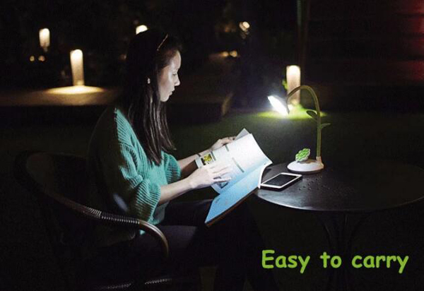 Hot Selling Creative Rechargeable Sunflower LED Desk Lamp With Phone Stand