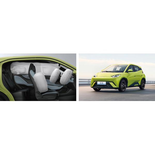 Lithium Battery Electric Cars Bestsource Byd Seagull Vibrant Version 305km for Adults
