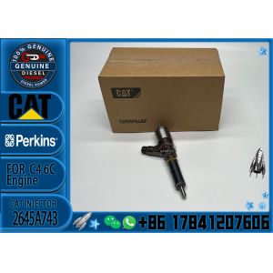 2645A743 Common rail injector fuel injecto 10R-7675 2645A748 2645A743 320-0670