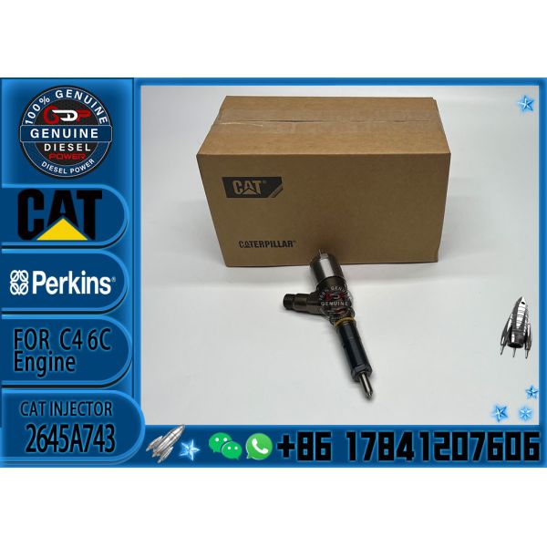 2645A743 Common rail injector fuel injecto 10R-7675 2645A748 2645A743 320-0670 for C4.2 C6.4 Excavator C4.2 C6.4 320D