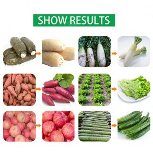 High efficiency water recycling air bubble vegetable washers spring onion