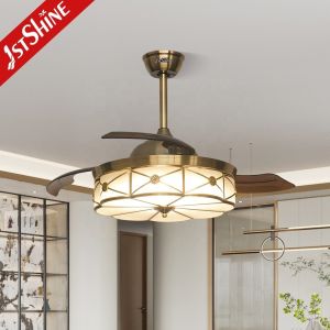 3 Blade PC Blades Remote Control Retractable Ceiling Fan with Foldable LED Light