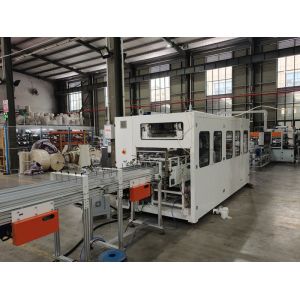 Fully Automatic Toilet Tissue Paper 10 Rolls Bundle Packing Machine