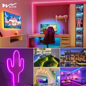 Flexible Neon Light Strip for Lighting and Circuitry Design IP65 Rated 110V-220V