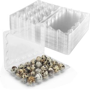 Small Plastic Egg Cartons - Clear 2 Dozen Quail Eggs Tray - Reusable Storage