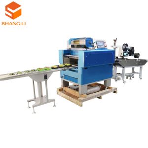 Labeling Machine with Zebra Printer for Fruit Vegetable Egg Meat Tray Carton