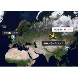 DDU DAP Services Air Freight Customs Clearance Freight Forwarder Customs