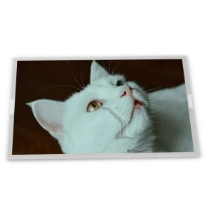 1024(RGB)*768 8 Inch A-Si TFT-LCD New and Original TM080TDHG01-00 Lcd Panel