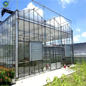 New Products Ultraviolet-Proof Farming Venlo stype greenhouse with hydroponics