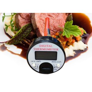 Wholesale 120mm Probe Wireless Barbecue Thermometer Digital Instant Read Black Color from china suppliers