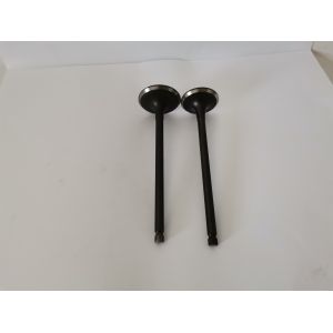 Mitsubish Airtrek 2.4 16v Diesel Engine Valve 4160A with Steel Material