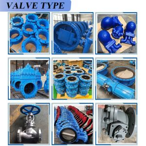 API 600 150LB CF8M Stainless Steel Flanged Gate Valve for Water Media Y Type