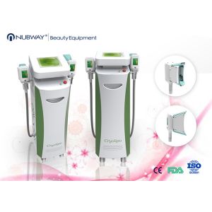 2016 Chritmas promotion! cryolipolyisis slimming/ cryolipolysis fat freezing