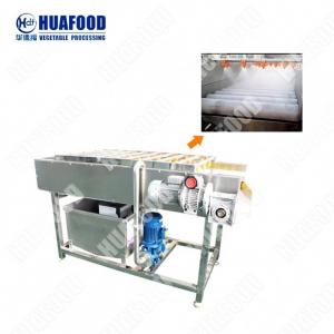 Wholesale Steel Vegetable And Fruit Washing Machine Water Ginger Dehydrator Machine from china suppliers