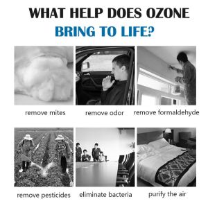 Mobile Ozonizer Machine Vehicle Ozone Generator Continuous Flow