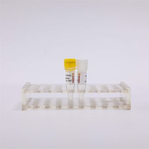 Wholesale RNA Reverse Transcription And Endpoint PCR Kit One Step RT PCR Mix RP1001 from china suppliers