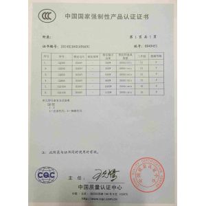 Zhejiang Chaoqiang Machinery Co.,Ltd Certifications