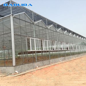 Large Size Generator Plastic Sheet Greenhouse With Project Commercial Hydroponic