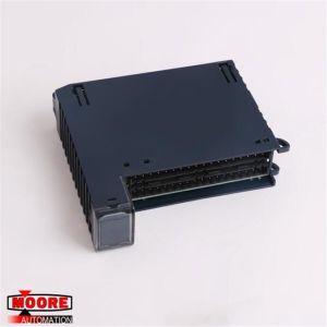IC694MDL660 GE Input Module