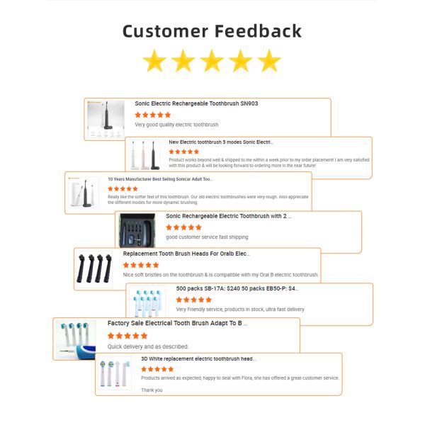 Portable Sonic Toothbrush with 70 Days Runtime 25000VPM and 2 Brush Heads