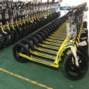 Rich Bit H100 Big Wheel E Scooter 350w Electric Scooter Bicycle Front 16" 20"