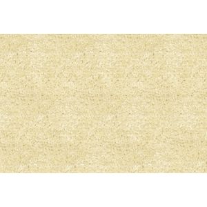 Custom Cut Pile 100% Polypropylene Carpet Rugs For Conference Room