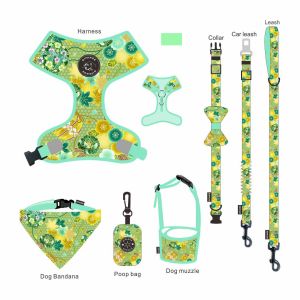 ultra Comfort Collar Leash Harness Set