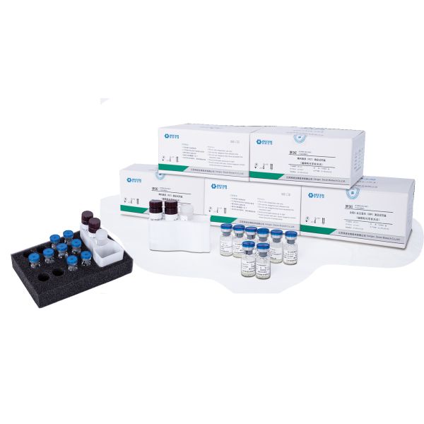 HSV-1 IgM/HSV-2 IgG/HSV-2 IgM/Torch HSV-1 IgG Calibrator For Automatic