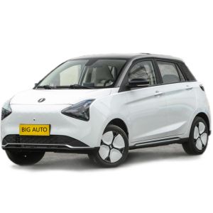 Big Capacity Pure Electric Car Joy 01 High Speed Electric Car Suitable for