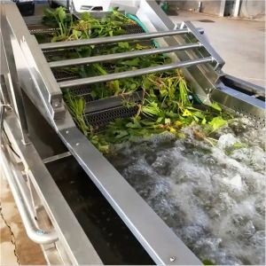 3000W Fruit Vegetable Washing Machine Fully Automatic Multi Functional