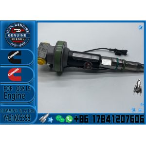 QSK19 QSK60 Common Rail Fuel Injector 2867148 2882078 Y431K05248 Y431K05558