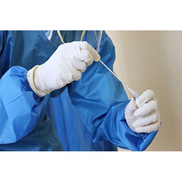 Saliva Sputum Self Rapid Antigen Test Kit Nasal Swab Signo IVD Diagnostic