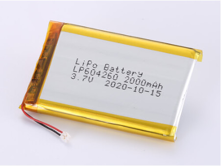 Acceptable OEM Lithium Polymer Battery with 1 Year Shelf Life and LP604260 3.7V