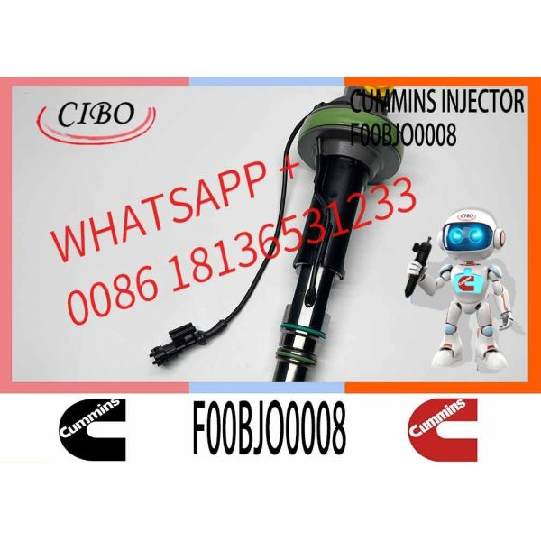 Fuel Injector Assembly F00BJO0008 F00BJ00009 Y431K05429 Y431KO5205 Y431K05420