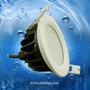 Waterproof IP65 led downlight 40w 30w 20w 15w 8w cob recessed led downlight SAA