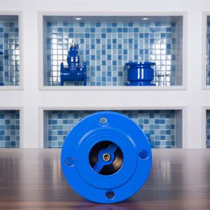 Industrial GGG40 Check Valve Flange Type Silencing DN65 Small Check Valves For