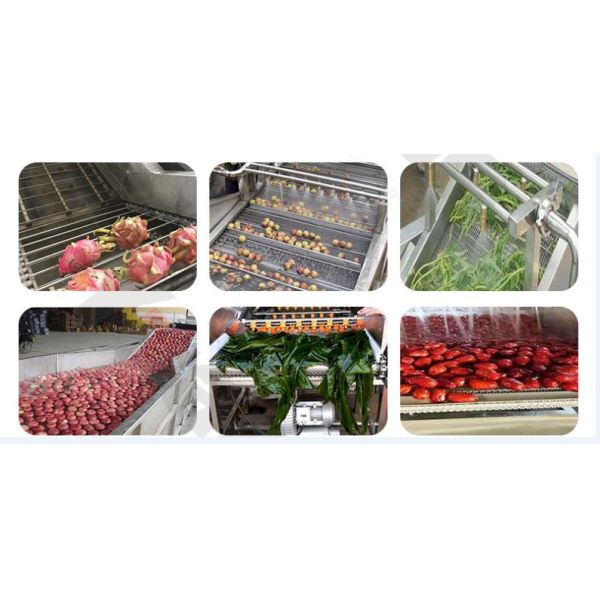 Vegetable Cutting Washing Salad Fruit Processing Machinery