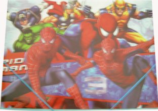 Customized two elastic rope file folder Lenticular Notebook