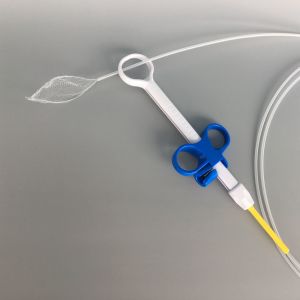 Endoscopic Disposable loop net for foreign body retrieval