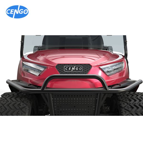 Street Legal Golf Cart NL-JA4 2.G Electric Buggy for Sightseeing Club 10% Climbing Ability 30Km/h Max. Speed