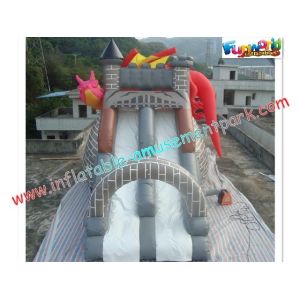 Dragon Commercial Inflatable Slide , 8L Inflatable Slide Slip For Christmas