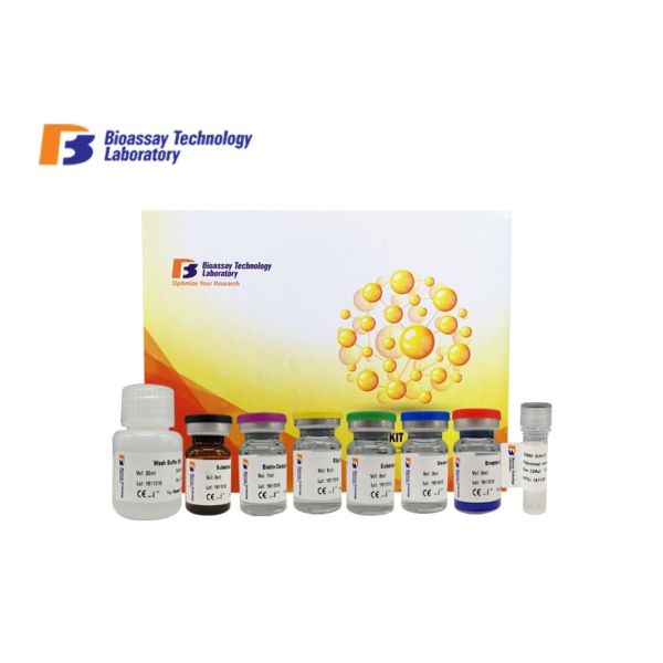 Sandwich Type Human ELISA Kit Angiopoietin 4 Immunoassays Test Kit With Oem
