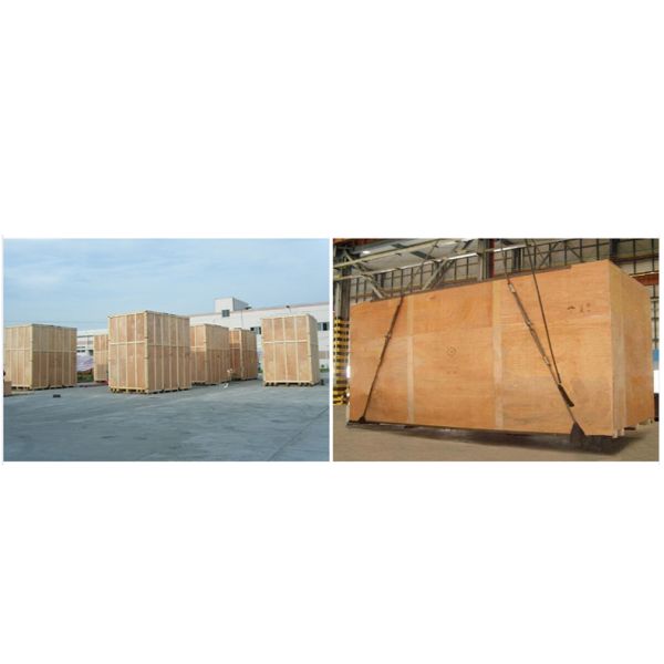 Construction Works Small Loader with Partial Customization and None Hydraulic Pump