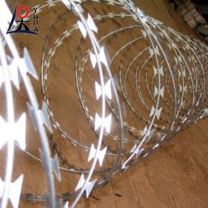 Hot Dipped Galvanized Concertina Razor Barbed Wire High Security BTO-22